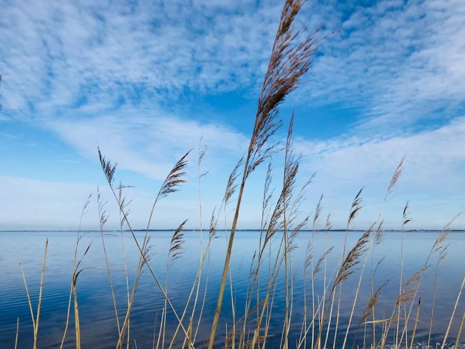 Appartamento Workation Auf Ruegen Ummanz Esterno foto